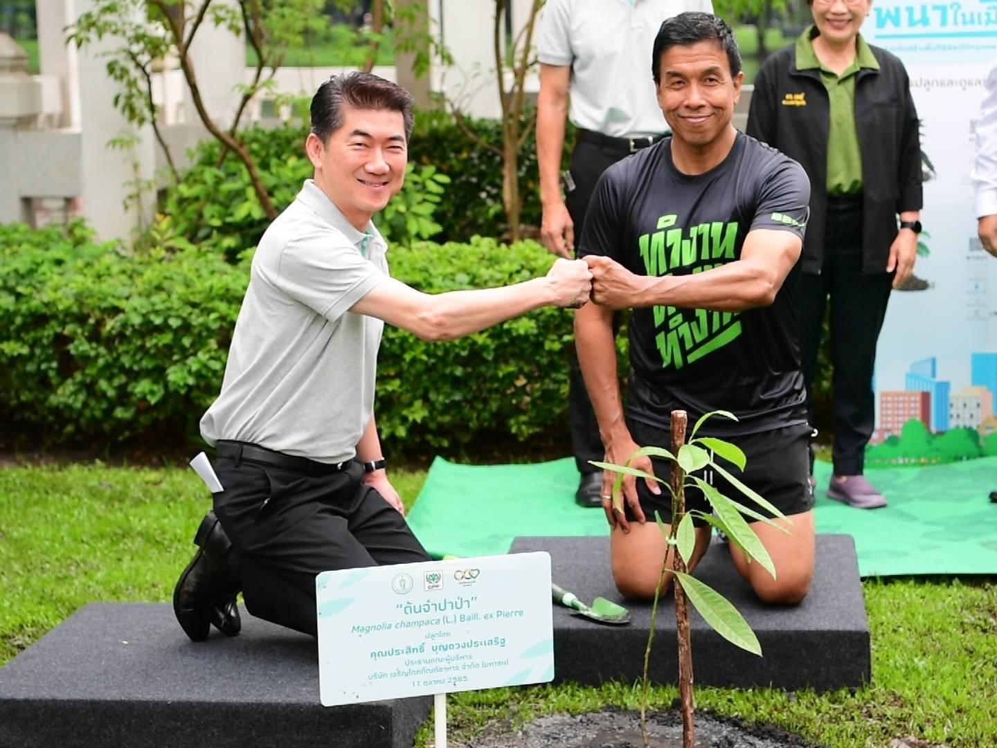 ปลูกป่าล้านต้นทะลุเป้า ชัชชาติ สิทธิพันธุ์ ดึงซีพีเอฟเติมสีเขียวถนนสีลม
