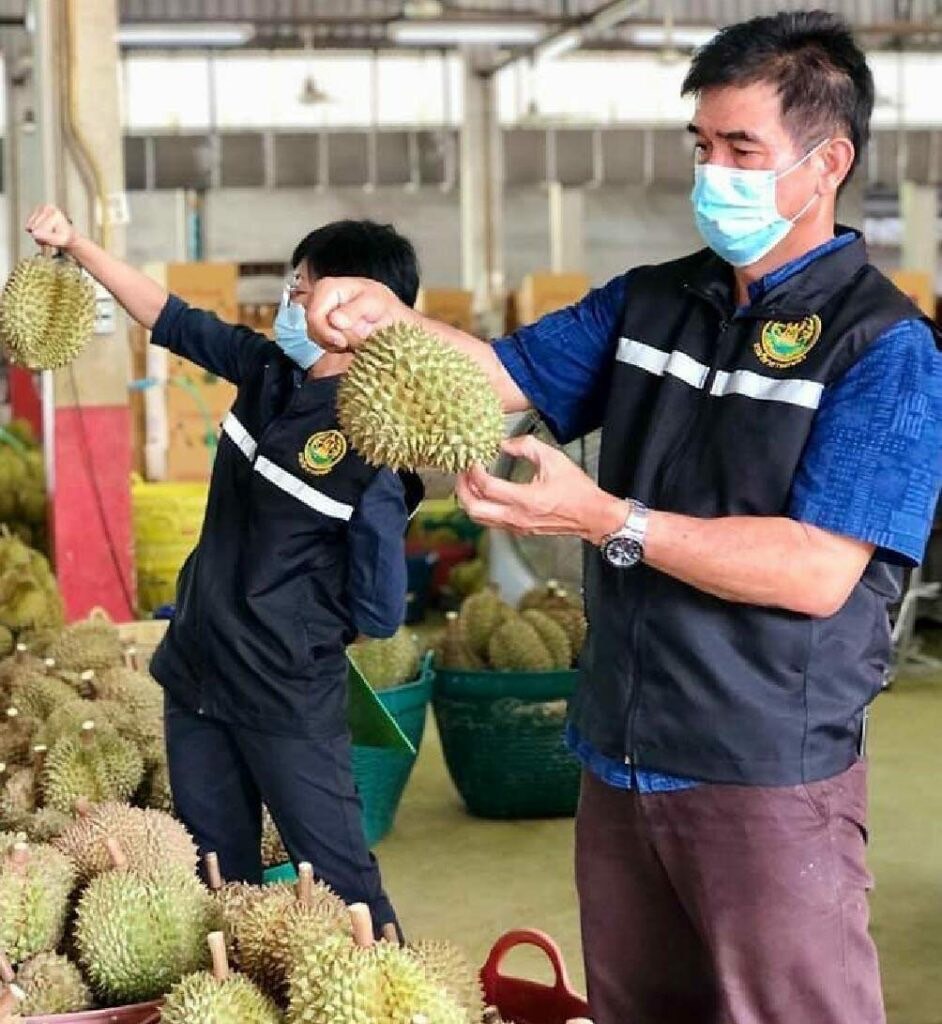 ชลธี นุ่มหนู