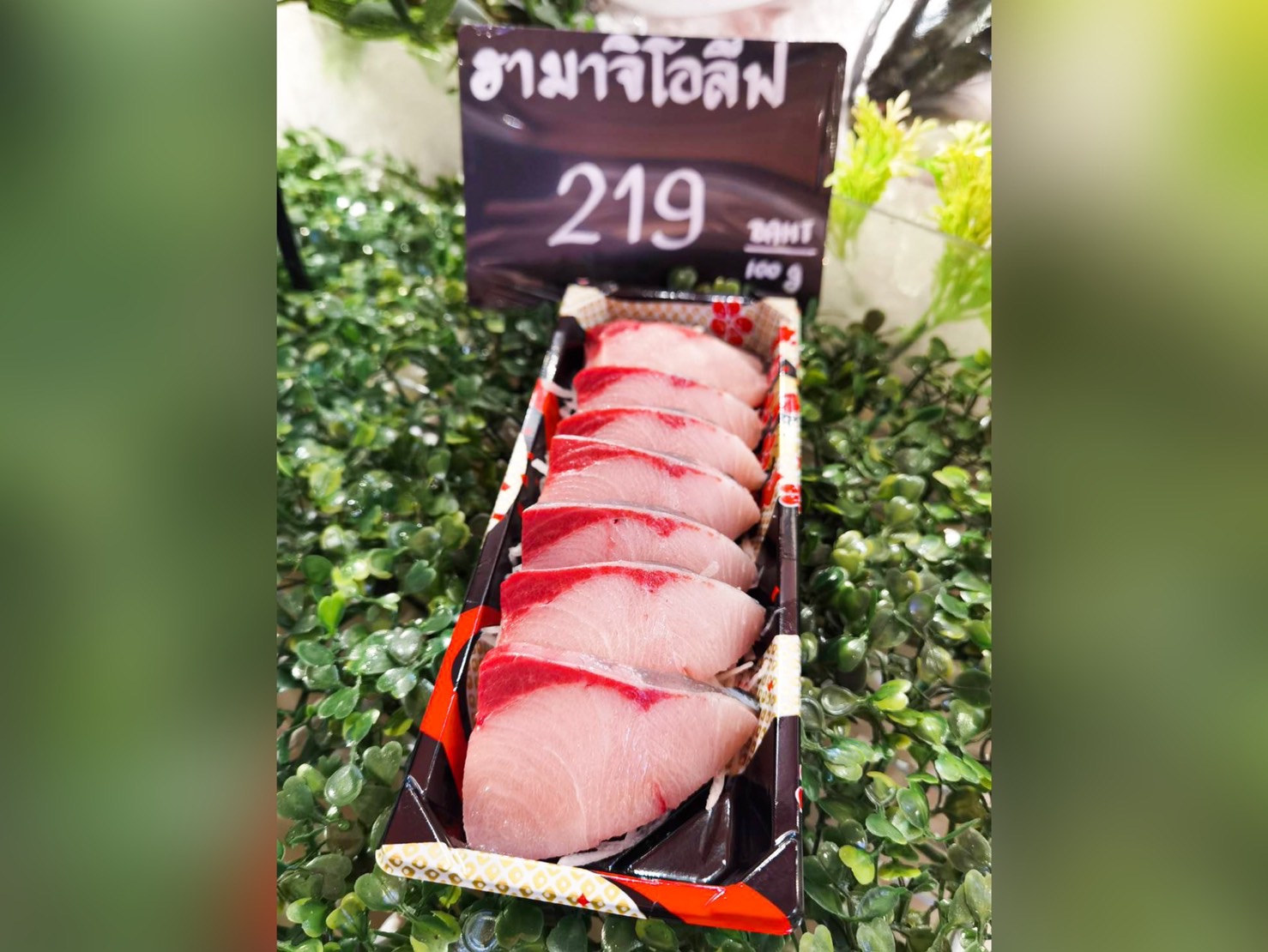 ฟู้ดส์ คลาสสิค ชวนมาชิม “ปลาฮามาจิ โอลีฟ” เนื้อหวาน เด้ง แรร์ไอเทม ส่งตรงจาก คางาวะ ประเทศญี่ปุ่น หาทานได้ปีละครั้งเท่านั้น!