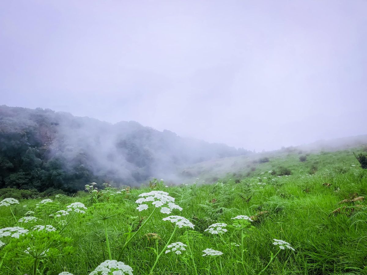 สภาพอากาศวันนี้ ไทยตอนบนอุณหภูมิลด ภาคใต้ฝนตกหนักบางแห่ง