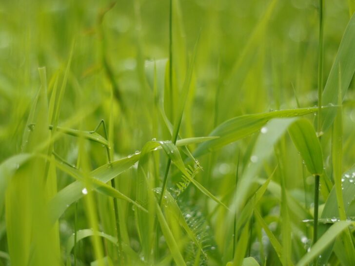 ฝนตก สภาพอากาศ7ตุลาคม65