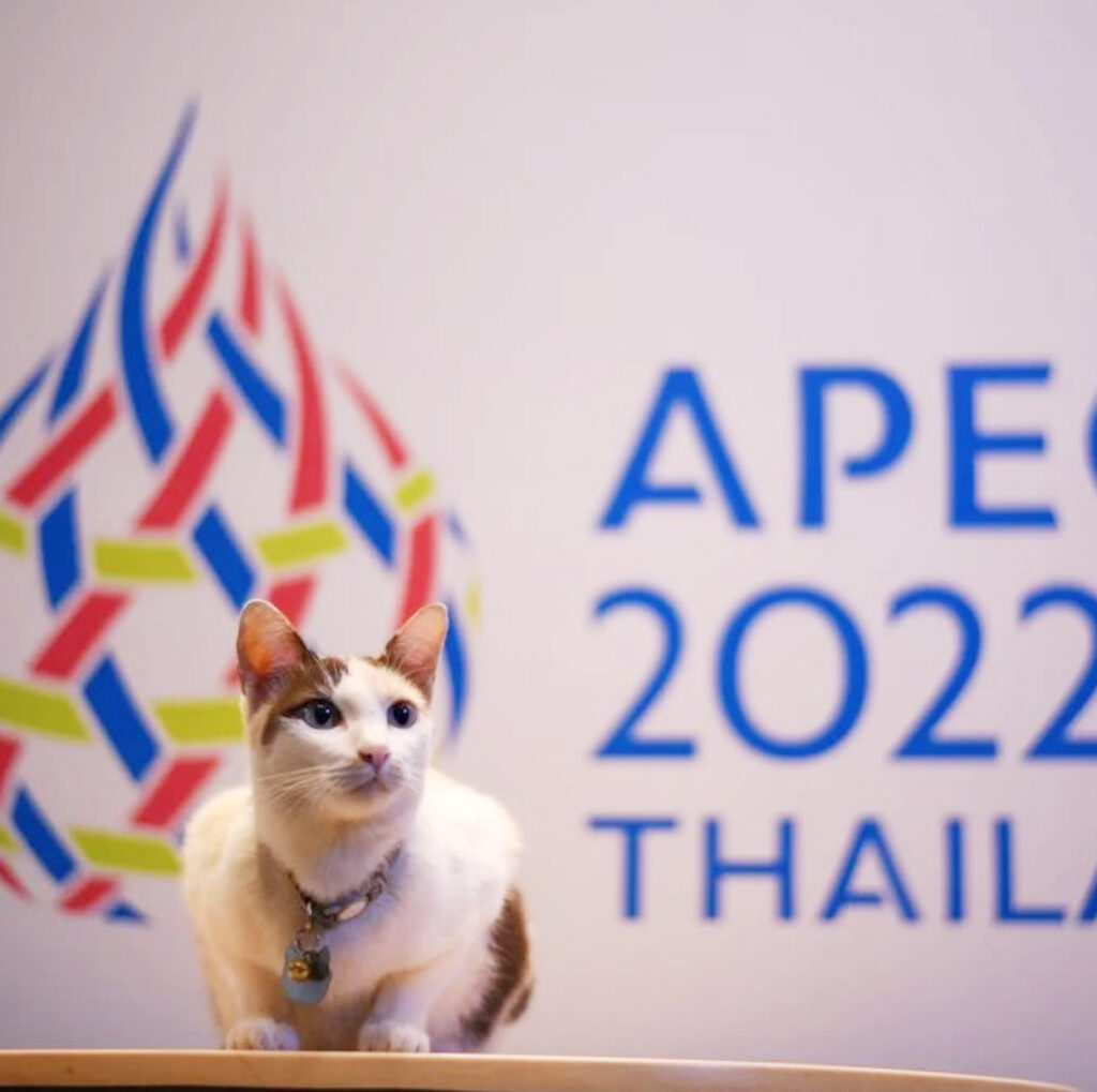 เอเปค 2022