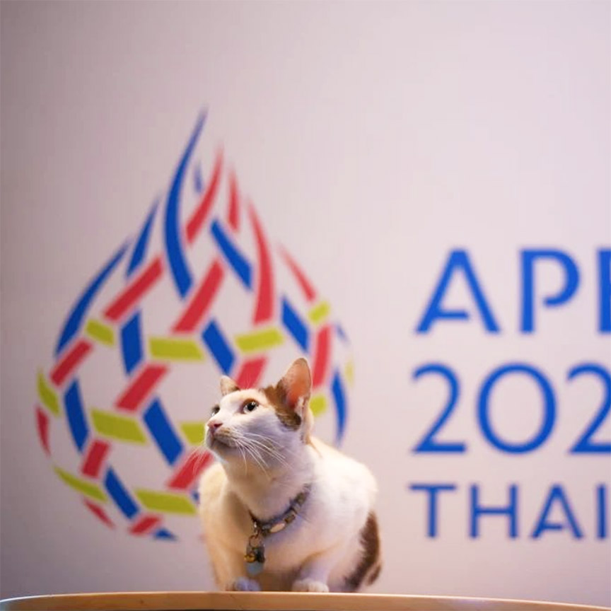 เอเปค 2022