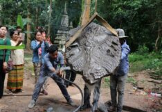 ตะลึงรูปปั้น หัวพญานาค เมืองนครธม โผล่จากดิน นาทีต้นไม้โค่น หัวพญานาค