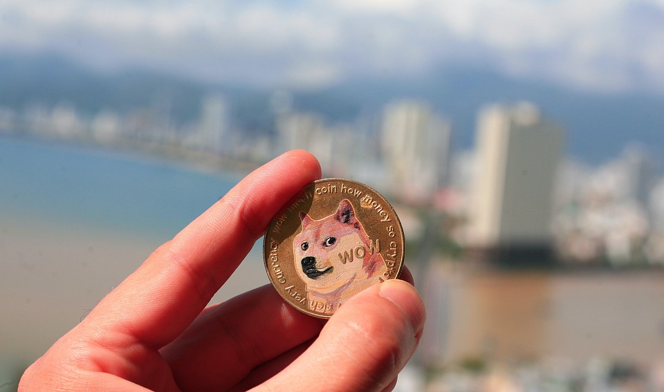 Doge Coin ราคาพุ่ง 38% หลังไบแนนซ์ยืนยันจะร่วมลงขันซื้อทวิตเตอร์