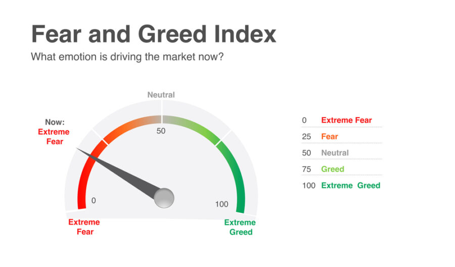 ตัวอย่าง fear and greed index