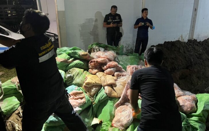 จับกองทัพมด ซากหมูเถื่อน กองทัพมด ซากหมูเถื่อน สระแก้ว กรมปศุสัตว์