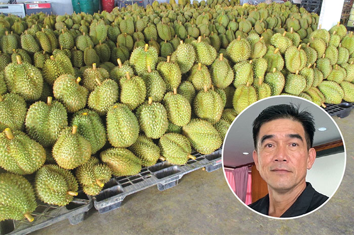 ห่วงอนาคตทุเรียนไทย แข่ง “เวียดนาม” เหมือนอยู่ในสนามรบ
