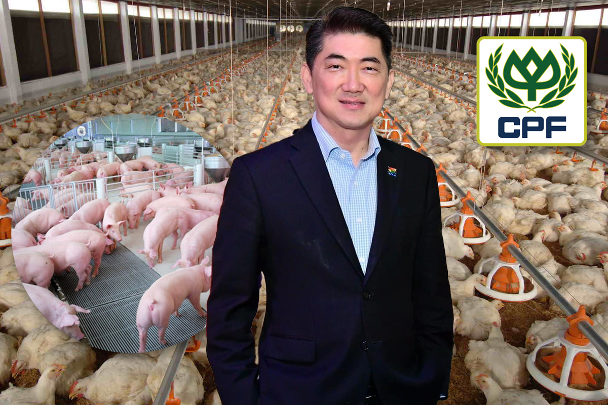ซีพีเอฟตั้งรับน้ำท่วมใหญ่ หมู-ไก่ฟื้นยอดขายโต10%