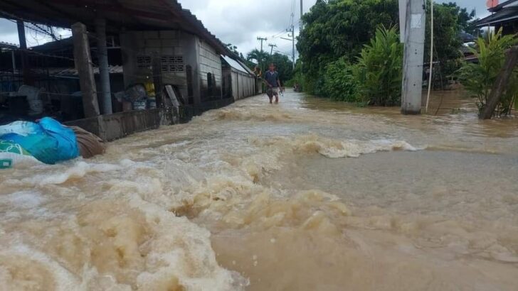 น้ำท่วมเชียงใหม่-1 น้ำท่วมเชียงใหม่