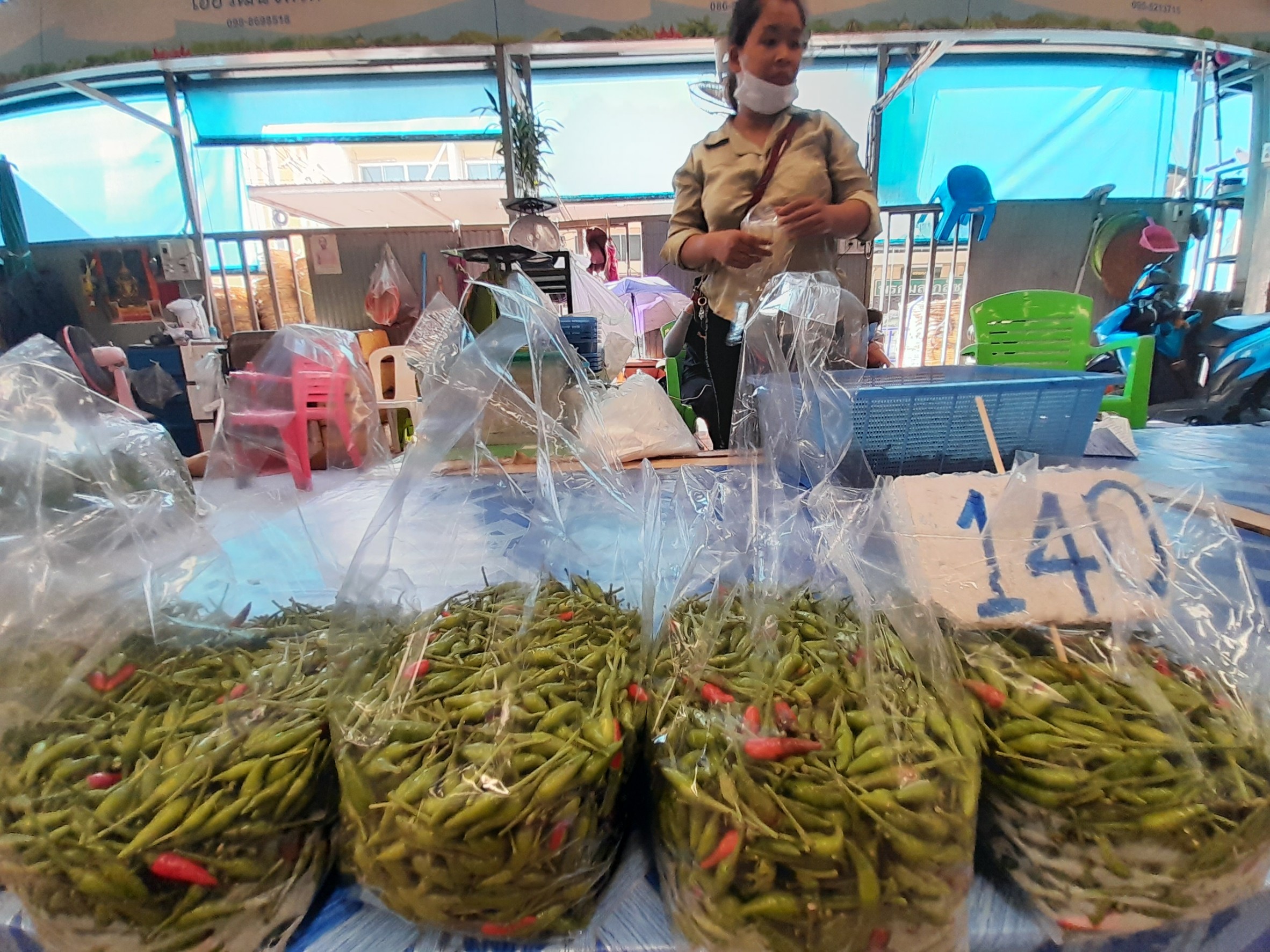 พริก