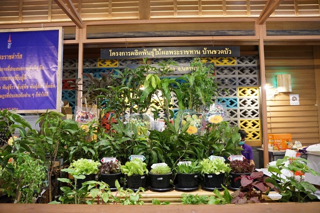 มูลนิธิชัยพัฒนา ร่วมกับ ไอคอนสยาม เมืองสุขสยาม จัดงาน “ชัยพัฒนาแฟร์” ภายใต้แนวคิด “จากนภา ผ่านภูผา สู่มหานที”