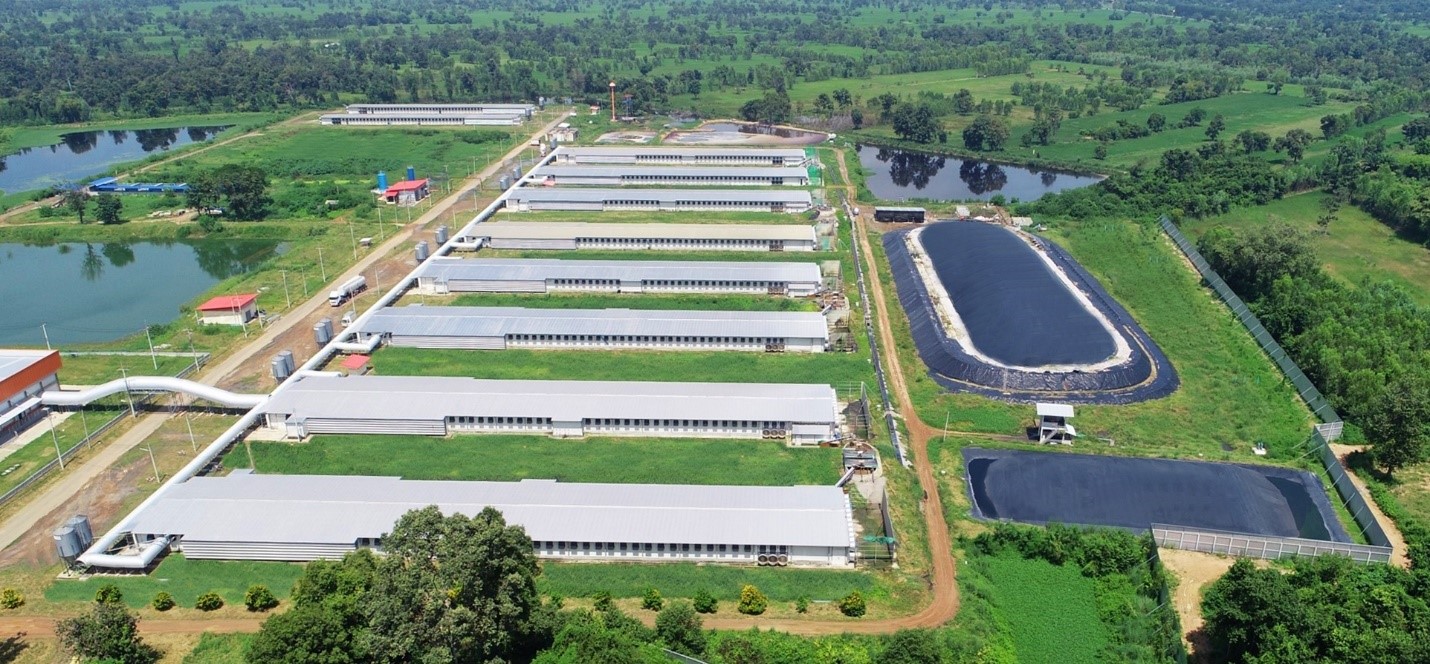 ซีพีเอฟ ชูโรดแม็ป ขับเคลื่อนองค์กรมุ่งสู่เป้าหมาย Net-Zero ภายในปี 2050