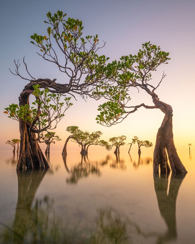 The sun rises along the peaceful beaches of East Sumba in Indonesia.