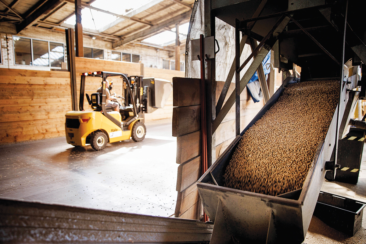 Wood Pellets เชื้อเพลิงทางเลือกในอนาคต