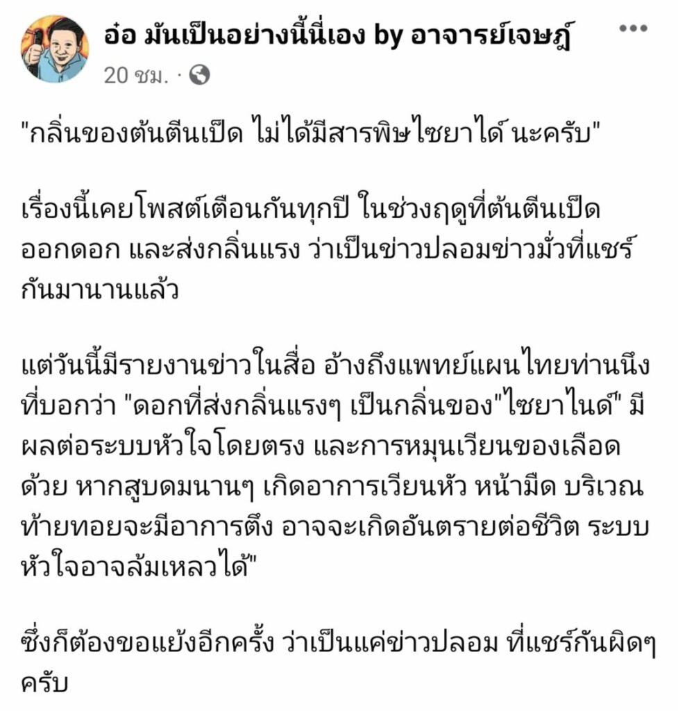 ต้นตีนเป็ด