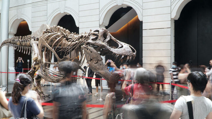 A 1.4 tonne T-Rex to be auctioned by Christie's Hong Kong โครงกระดูกทีเร็กซ์