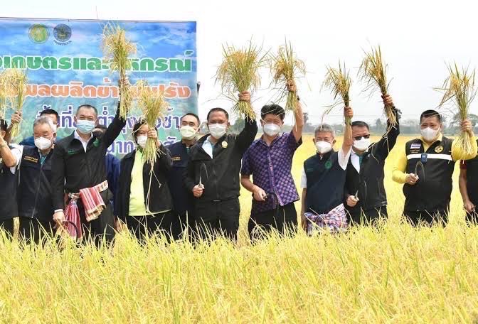 ไทยพร้อมเปิดบ้านเจ้าภาพเวทีข้าวโลก ปลื้มแชมป์ส่งออกเบอร์ 2 ข้าวดีที่สุด