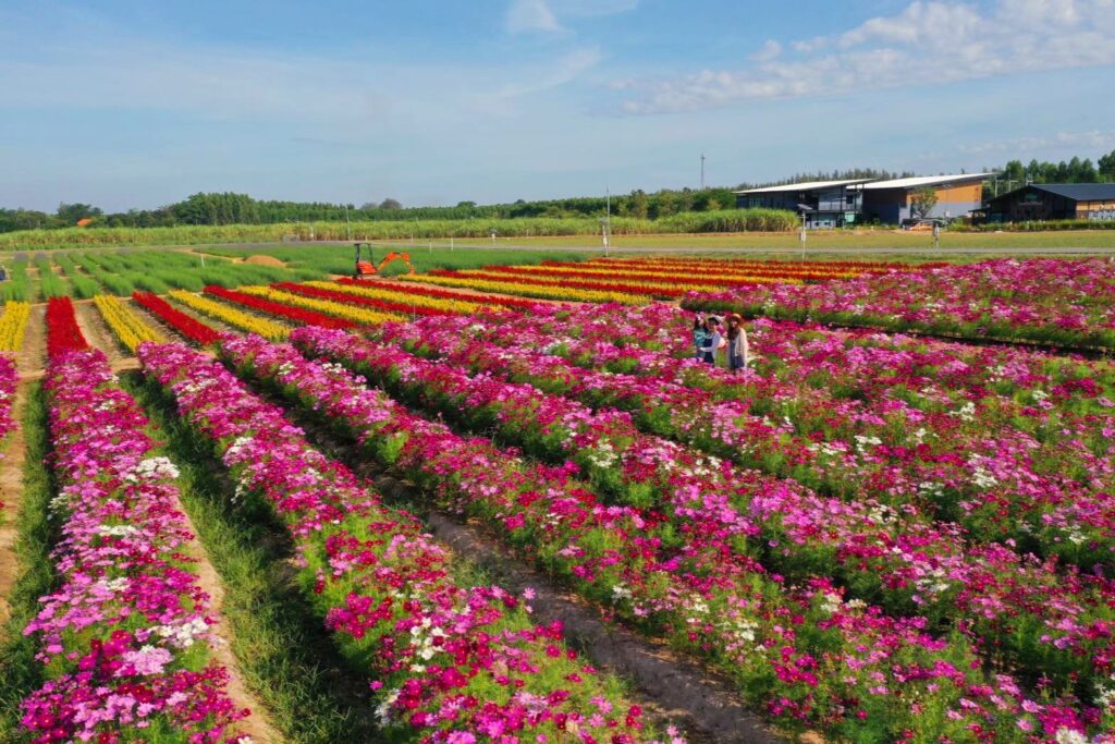 สยามคูโบต้า เปิดบ้าน KUBOTA FARM FEST