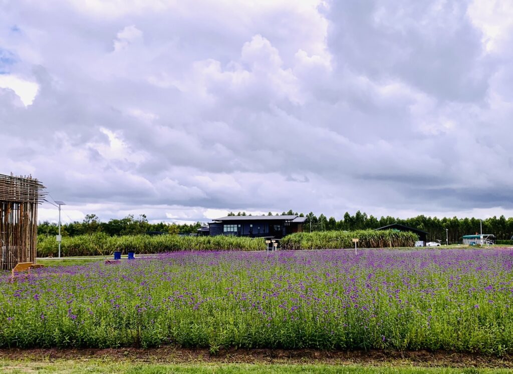 สยามคูโบต้า เปิดบ้าน KUBOTA FARM FEST