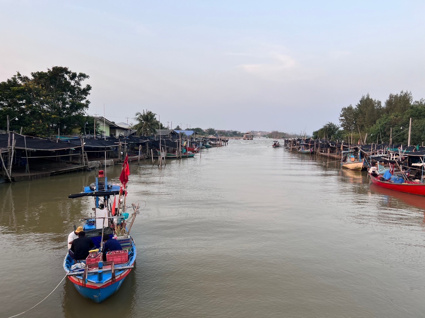 ประมง