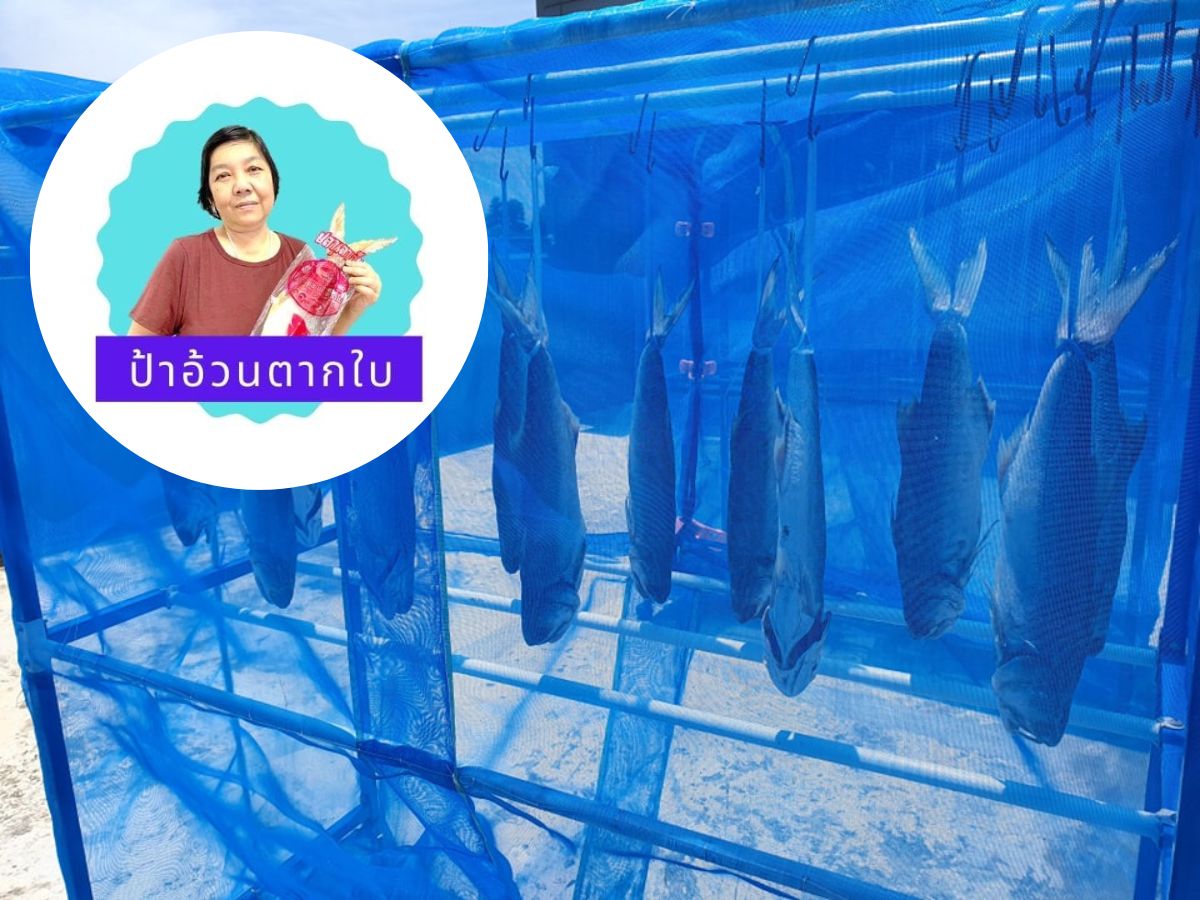 ปลากุเลาตากใบ รัฐบาลยันซื้อจริง ร้านป้าอ้วนโอท็อป 5 ดาว #APEC2022