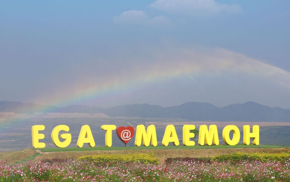 กฟผ.แม่เมาะ เปิด “ทุ่งบัวตอง” รับนักท่องเที่ยวสัมผัสลมหนาว