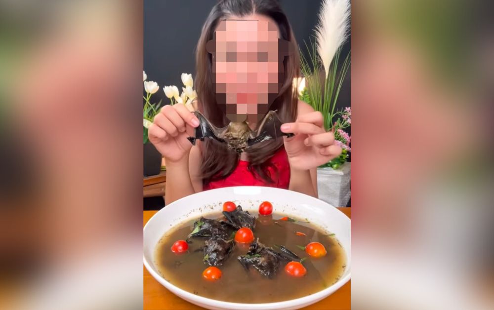 ทัวร์ลงครูสาวลงคลิปโชว์กินค้างคาว ชาวเน็ตแห่วิจารณ์-ร้องสั่งสอบ