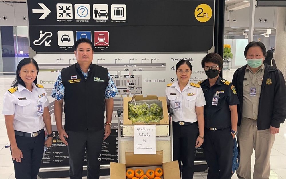 งดซื้อผลไม้สดกลับจากต่างประเทศ เสี่ยงผิดกฎหมายนำเข้าโรคพืชแมลง