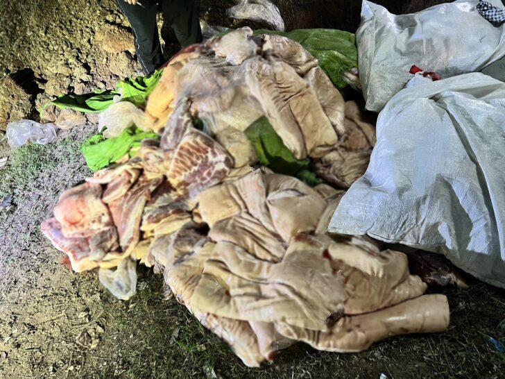 ซากสุกร ซากสุกร