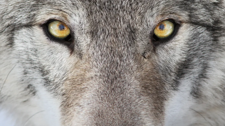 24934e90-72ee-11ed-921c-a15cb8ebf519.png