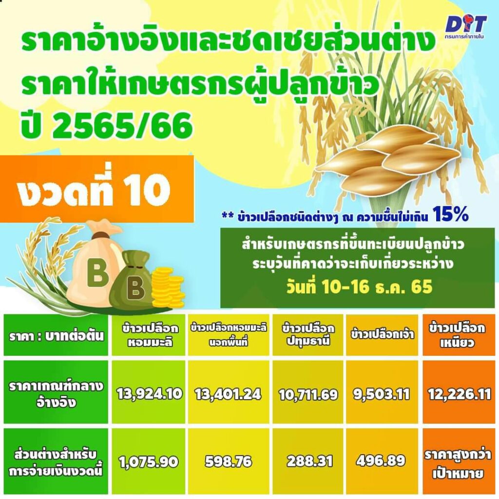 ตารางเงินประกันไรายได้ข้าว ธ.ก.ส. งวด 10