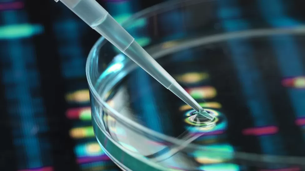 gene editing