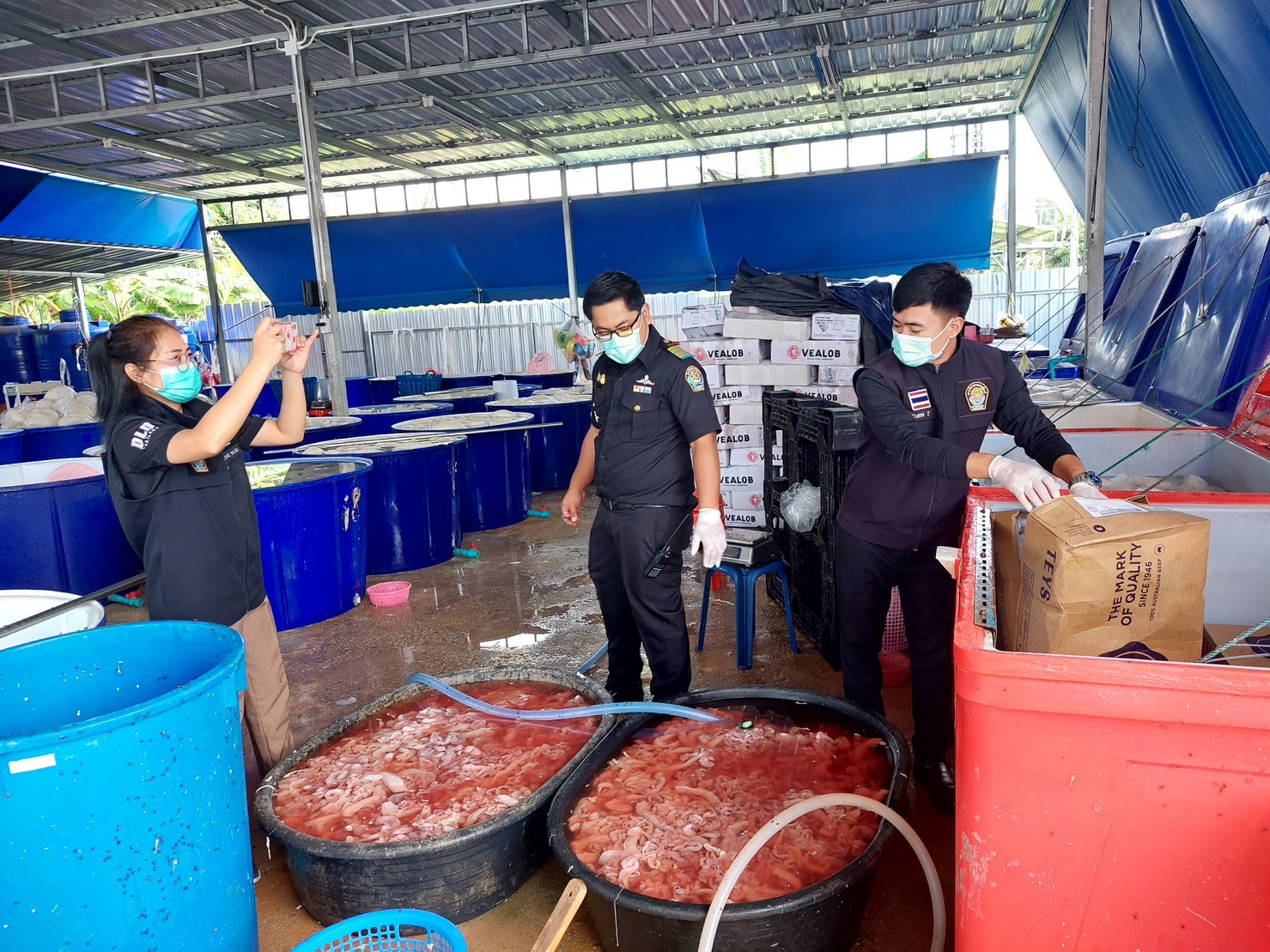 บุกอายัดเครื่องใน-เนื้อสัตว์แช่ถังฟอร์มาลิน ส่งร้านหมูกระทะชลบุรี 25 ตัน