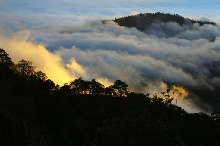 IMG_0398 อากาศหนาวเย็น-ยอดดอย