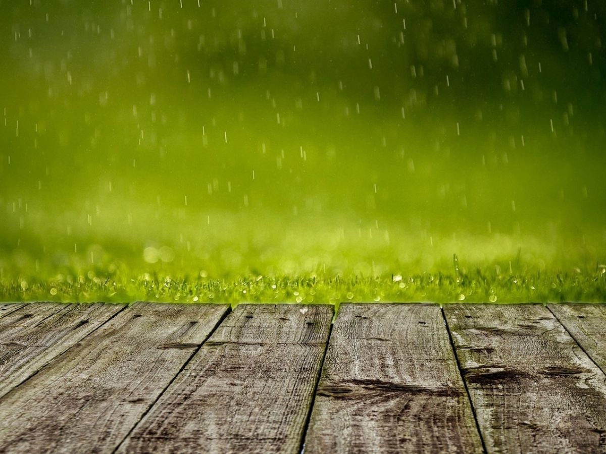 สภาพอากาศวันนี้ ฝนตกหนัก 11 จังหวัดภาคใต้ กทม.-ปริมณฑล ฝนเล็กน้อย