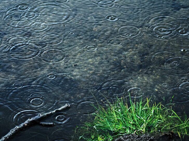 ฝนตกหนัก กรมอุตุเตือนฉบับ 8 ฝนตกหนักภาคใต้