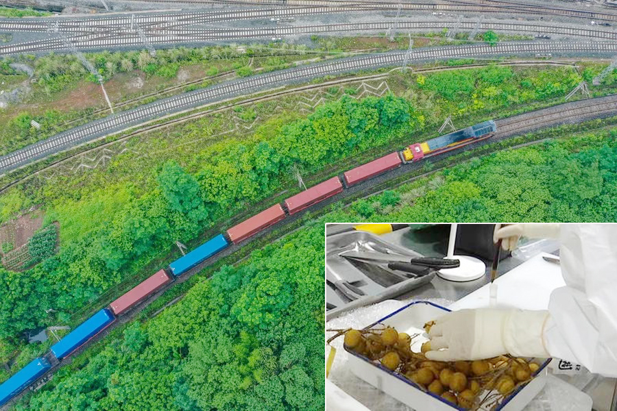 ลำไย-ทุเรียน จากไทย ขนส่งรถไฟจีน-ลาว สายตรงเข้าด่านโม่ฮาน