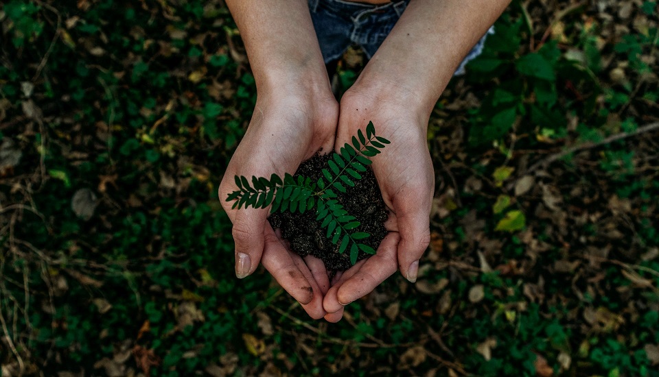 Earth Day : แบรนด์ที่เป็นมิตรต่อสิ่งแวดล้อม มีกำไรและยั่งยืนมากกว่า