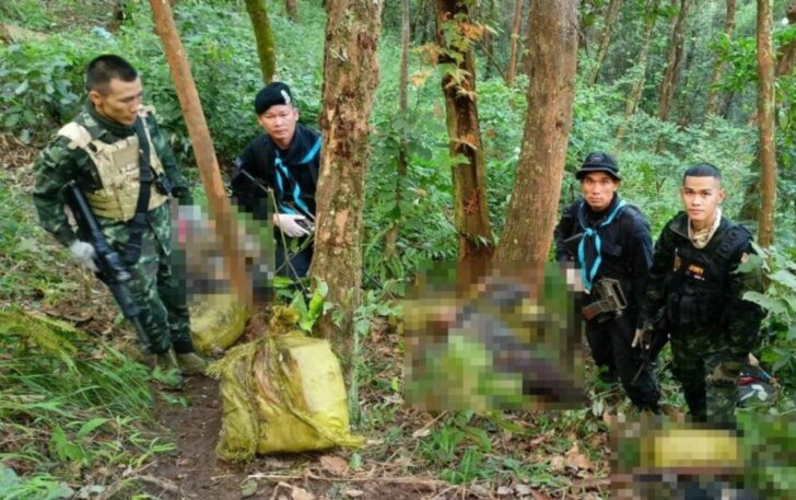 กองกำลังผาเมือง ขบวนการขนยาเสพติด กองกำลังผาเมือง ขบวนการขนยาเสพติด ยาเสพติด