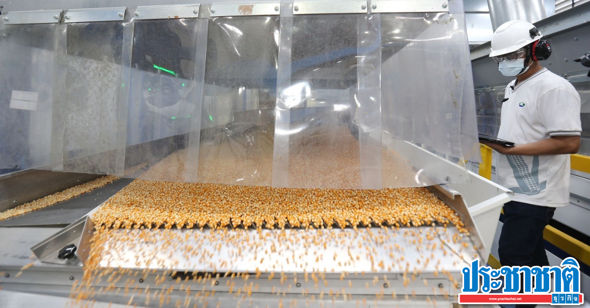 Syngenta Seeds invests 330 million in Thailand's largest maize seed pump News Directory 3