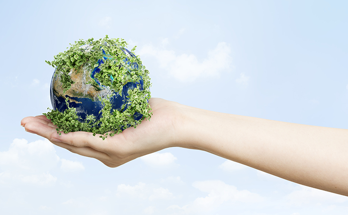 Sustainable living environmentalist hand holding green earth ความยั่งยืน