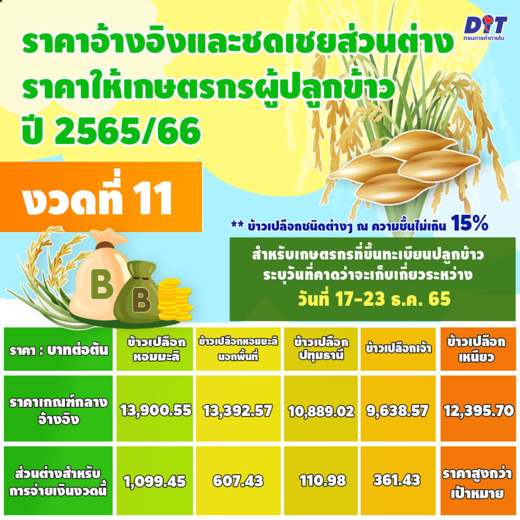 ประกันรายได้ข้าวงวด 11