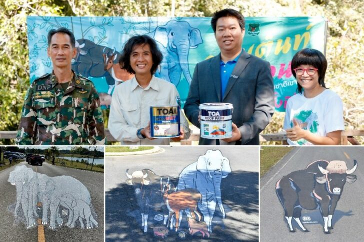 จุดกางเต็นท์ จุดกางเต็นท์