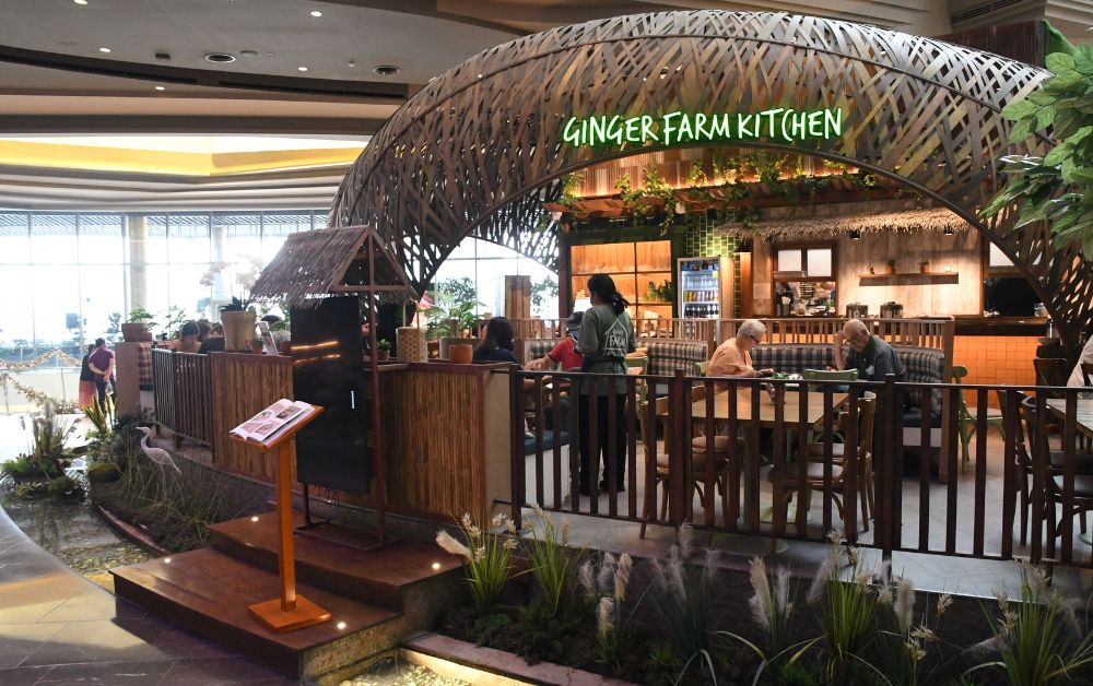 ลิ้มรสอาหารเหนือออร์แกนิกร้าน GINGER FARM kitchen ที่ไอคอนสยาม