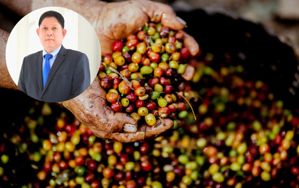 พาณิชย์ เตรียมเสนอ (ร่าง) ประกาศ กำหนดให้กาแฟ ต้องขออนุญาตส่งออก