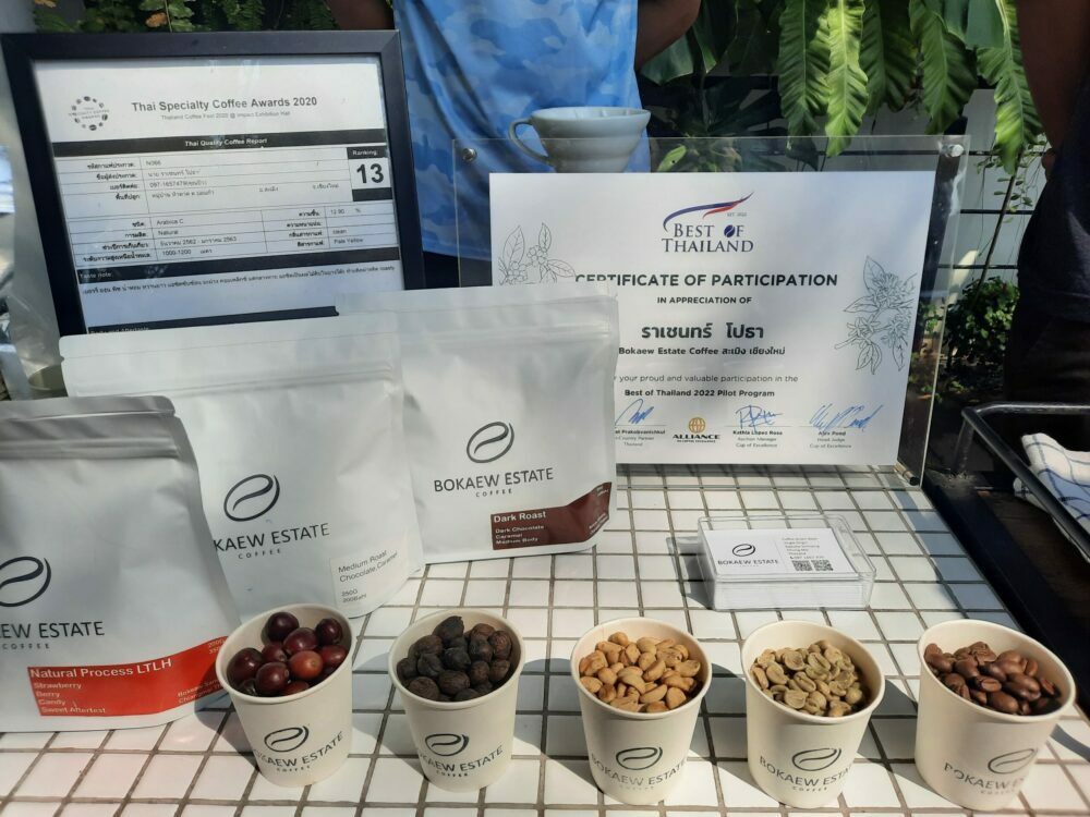 "ทีเส็บ" ดันภาคเหนือเมืองกาแฟโลก จัด World Tea & Coffee Expo 2023