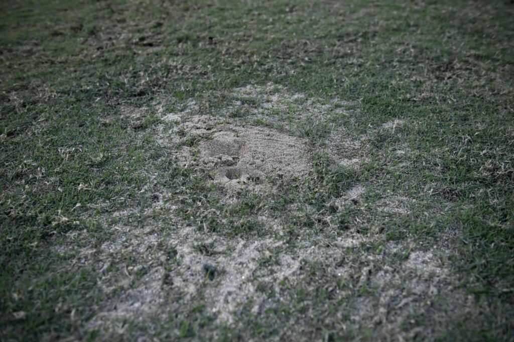 สภาพสนาม ที่สนาม มี ดินห์ ประเทศเวียดนาม
