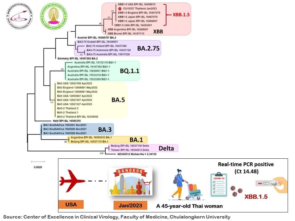 หมอยง โควิด 19 สายพันธุ์ XBB.1.5