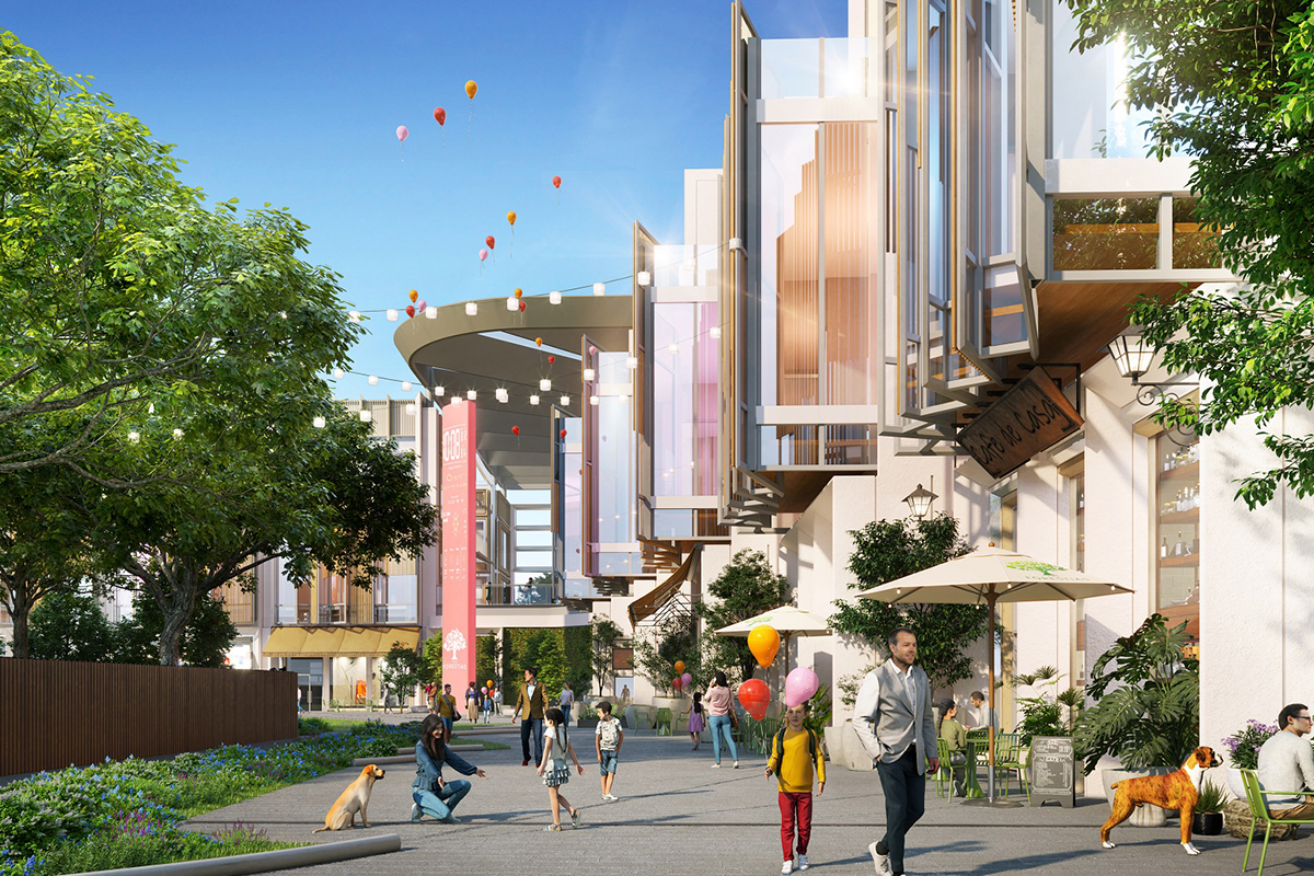 เดอะ ฟอเรสเทียส์ MQDC